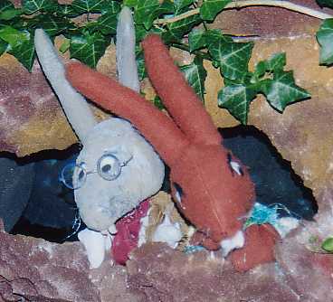 Les 2 lapins